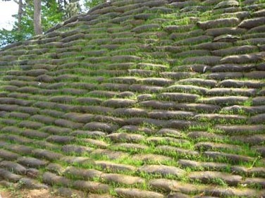 生態(tài)袋